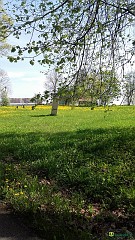 20160508_094844