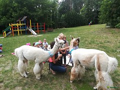 img_20190628_103532