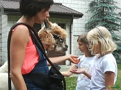 img_20190628_105532